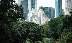 This is your pay at a multi-strategy hedge fund in New York City