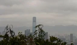 關於香港德意志銀行的薪酬和花紅之事實