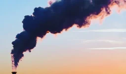 The boutiques hiring renewables professionals despite COVID-19