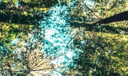 The best qualifications for ESG jobs in finance