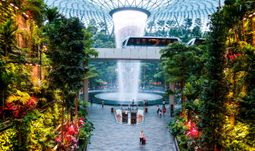 Singapore’s new Tech.Pass will help fill senior roles but won’t solve skill shortages