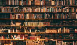 Morning Coffee: Inappropriate book seen on banker's shelf during Zoom meeting. Consultant declares it has a surfeit of staff