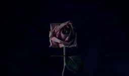 Ex-Goldman Sachs MD: M&A jobs are dying
