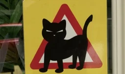 a cat caution sign 