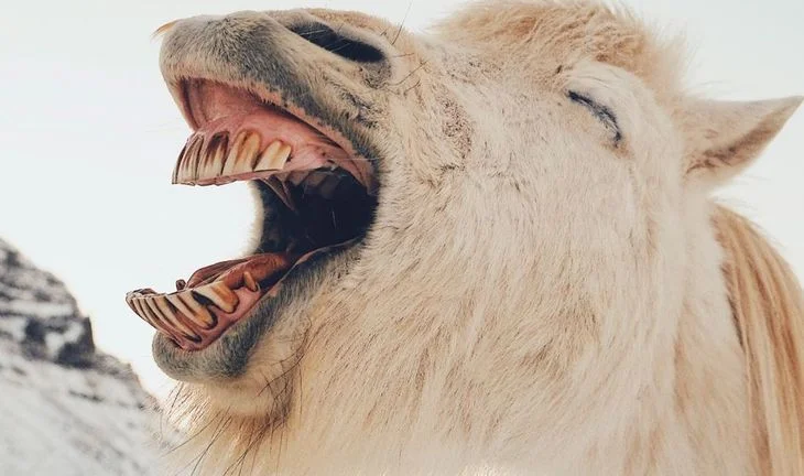Credit Suisse traders at Mizuho said to be all cheerful about pay