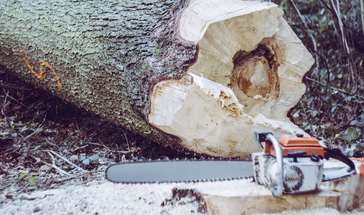 chainsaw next to a log 