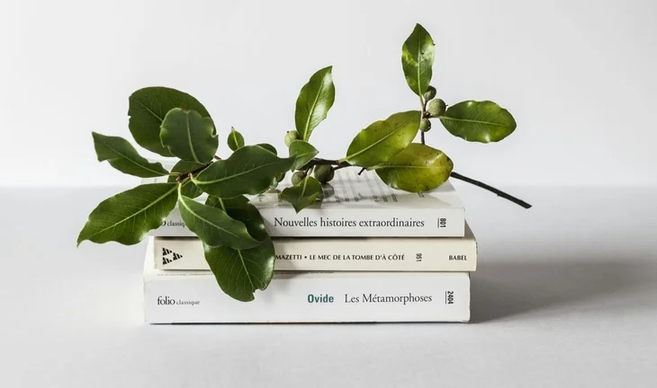 Books that will not help you pursue a career in private equity.