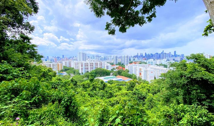 The best firms in Singapore for a job in sustainable finance