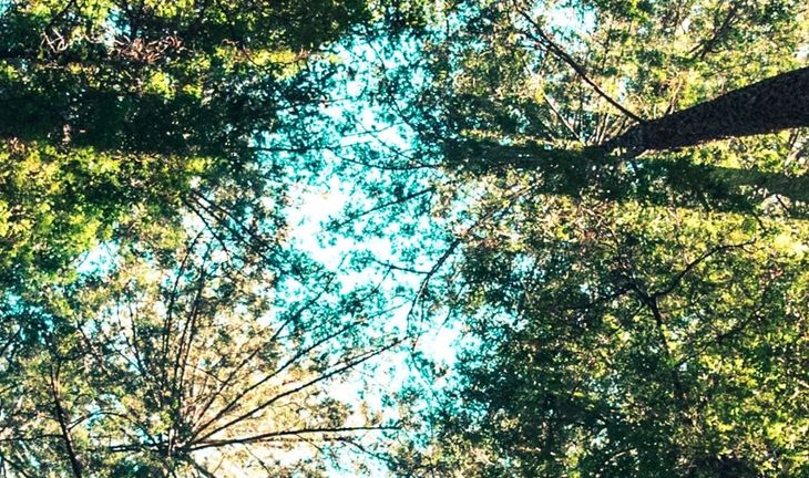 The best qualifications for ESG jobs in finance