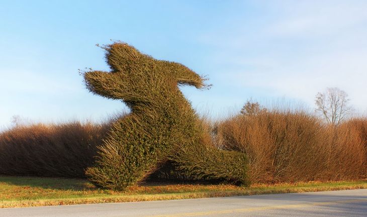 a bush shaped like a running man 
