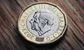Pound coin