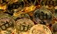 Trader who joined crypto firm returns to banking after 3 months