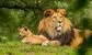 Commodity trading’s apex predators aren’t leaving anything for their rivals