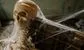 Is it really worth becoming a CFA Charterholder?