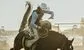 a bucking bronco 
